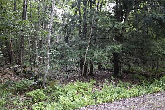 90 Acres of Land for Sale in Baldwin Town, Maine