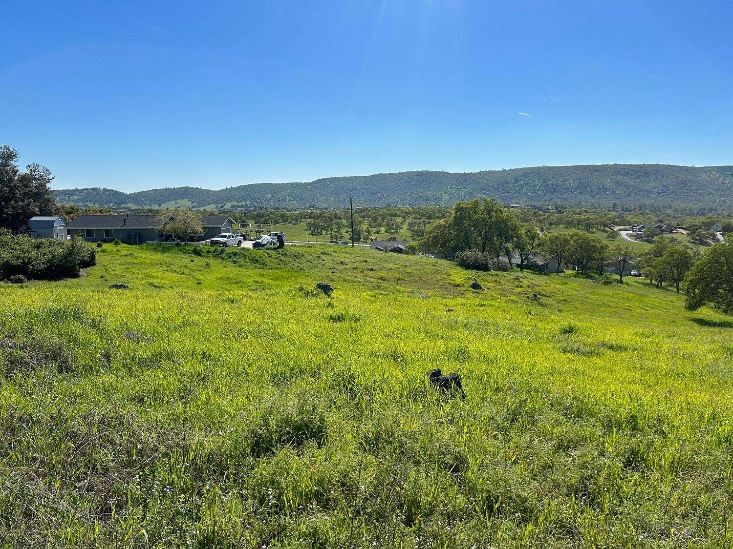0.72 Acres of Residential Land for Sale in Copperopolis, California