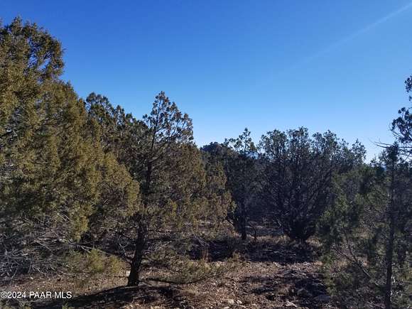 41.1 Acres of Recreational Land & Farm for Sale in Ash Fork, Arizona