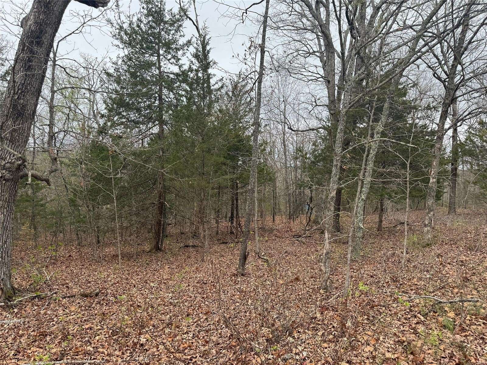 0.168 Acres of Residential Land for Sale in Lonedell, Missouri