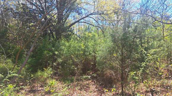 2.7 Acres of Land for Sale in Castleberry, Alabama