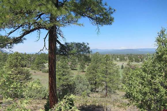 3 Acres of Residential Land for Sale in Pagosa Springs, Colorado