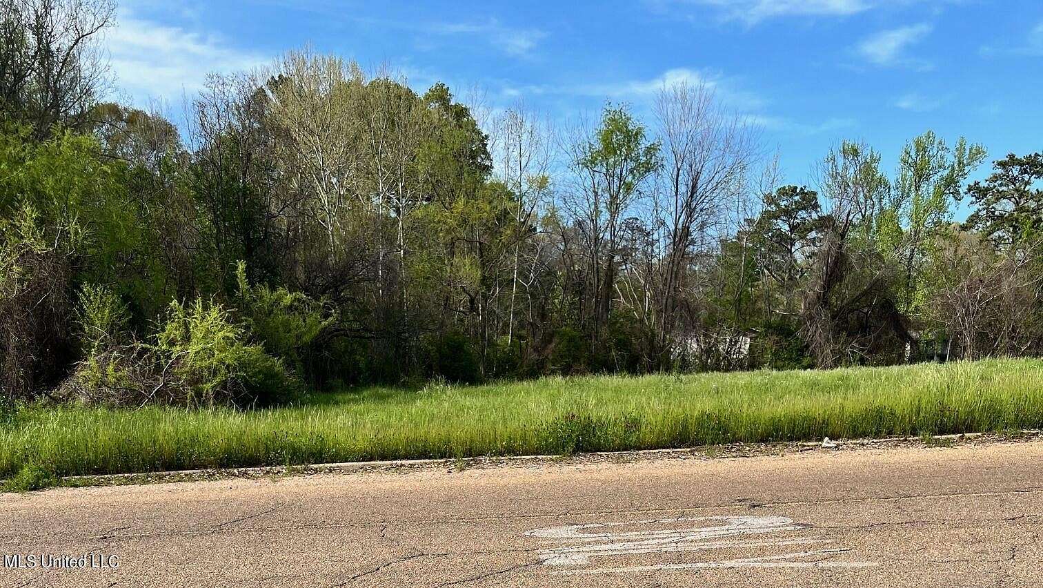 1 Acre of Land for Sale in Jackson, Mississippi