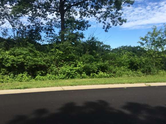 1 Acre of Residential Land for Sale in Richmond, Illinois