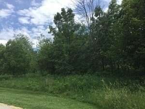 Residential Land for Sale in Genoa, Illinois
