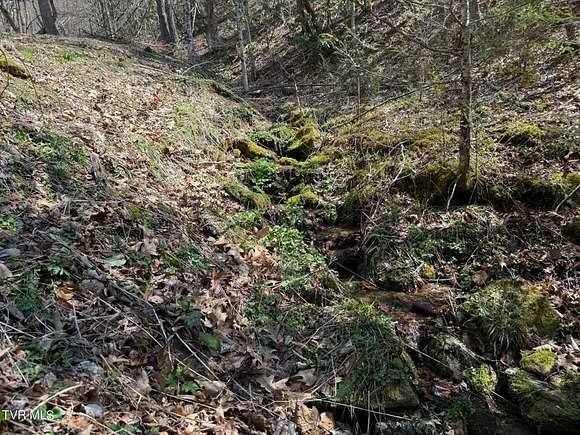 28.9 Acres of Land for Sale in Roan Mountain, Tennessee