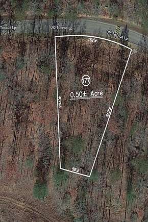 Residential Land for Sale in Mineral Bluff, Georgia