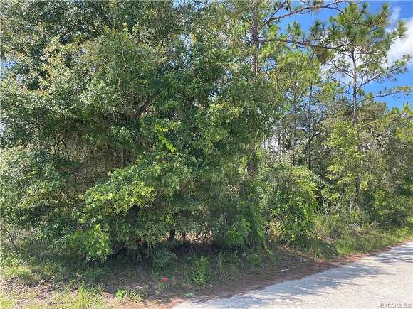 6.5 Acres of Land for Sale in Floral City, Florida