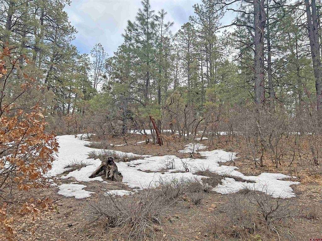 1.2 Acres of Residential Land for Sale in Pagosa Springs, Colorado