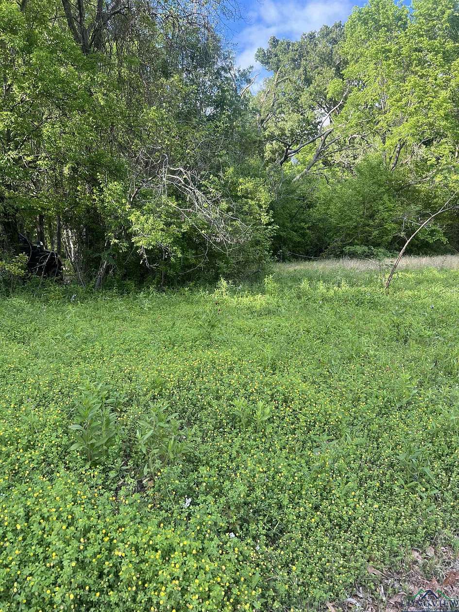 0.2 Acres of Land for Sale in Longview, Texas
