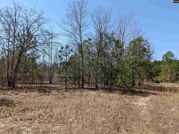 41.1 Acres of Recreational Land for Sale in Kershaw, South Carolina