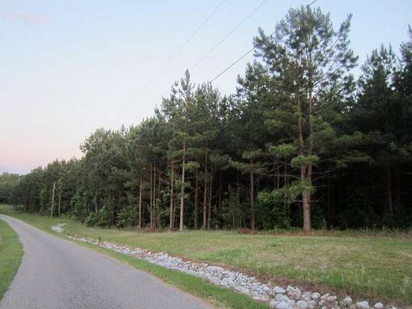 29.7 Acres of Recreational Land for Sale in Eufaula, Alabama