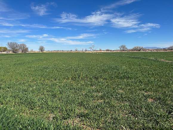 4.8 Acres of Residential Land for Sale in Veguita, New Mexico