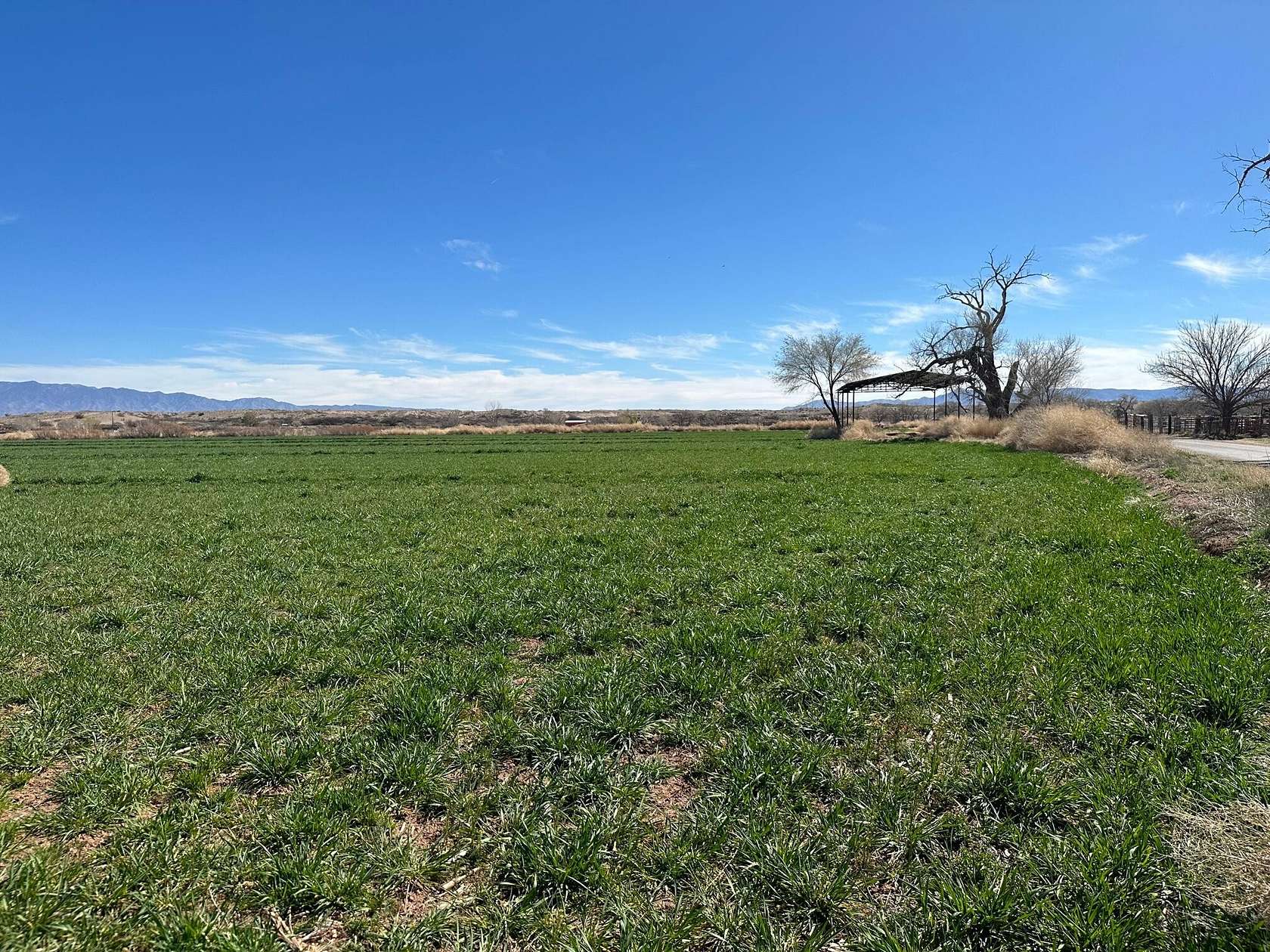 4.8 Acres of Land for Sale in Veguita, New Mexico