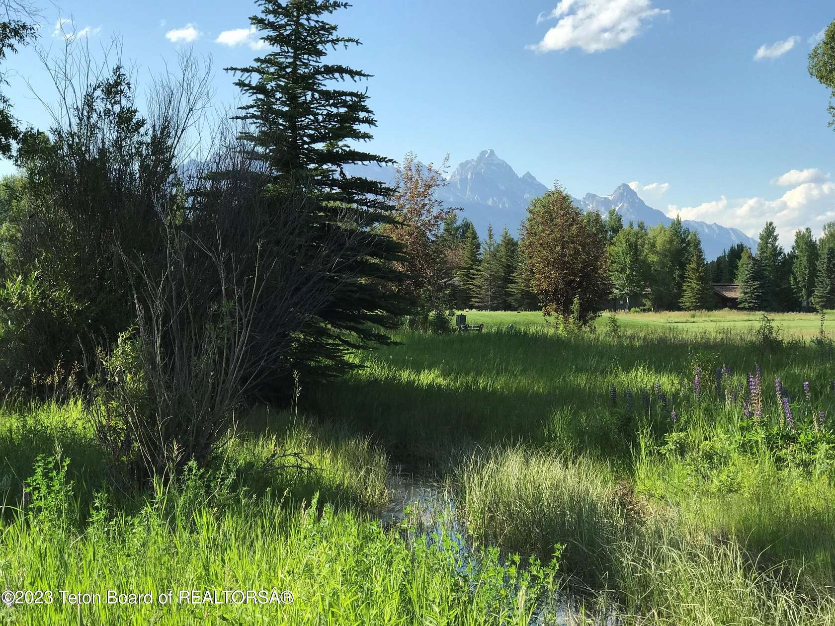 1 Acre of Residential Land for Sale in Jackson, Wyoming