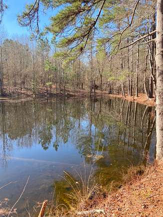 13.9 Acres of Recreational Land for Sale in Rockingham, North Carolina