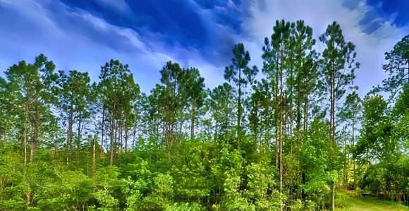 5 Acres of Recreational Land for Sale in De Leon Springs, Florida