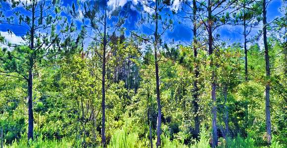 1 Acre of Land for Sale in Polk City, Florida