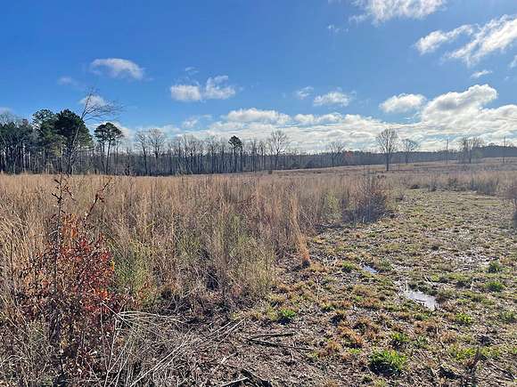 7 Acres of Land for Sale in Wallace, South Carolina
