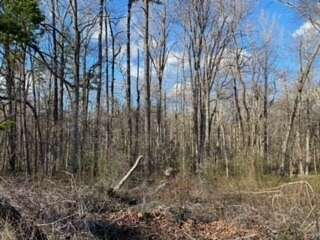1.2 Acres of Residential Land for Sale in Roxboro, North Carolina