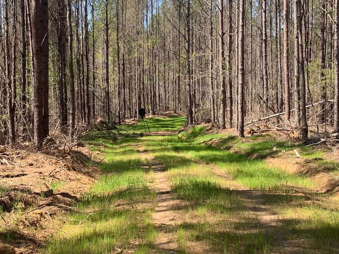 60.2 Acres of Recreational Land for Sale in Calhoun City, Mississippi