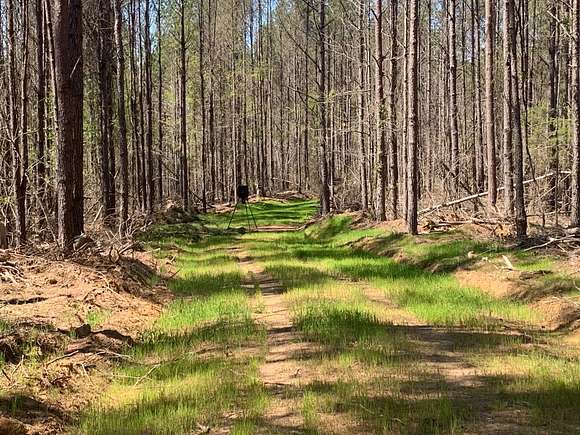 60.9 Acres of Recreational Land for Sale in Calhoun City, Mississippi
