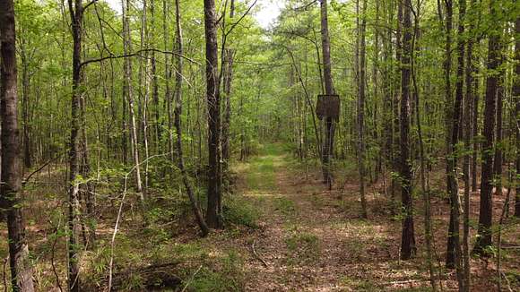 108 Acres of Recreational Land for Sale in Summerton, South Carolina