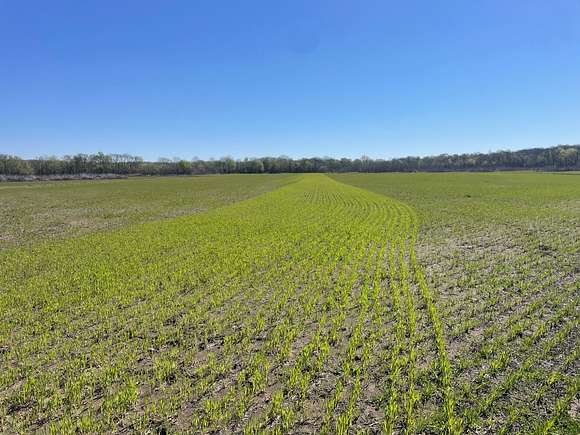 734 Acres of Land for Sale in Aberdeen, Mississippi