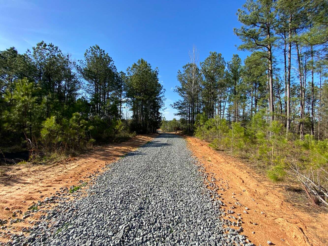 111 Acres of Recreational Land for Sale in Bankston, Alabama
