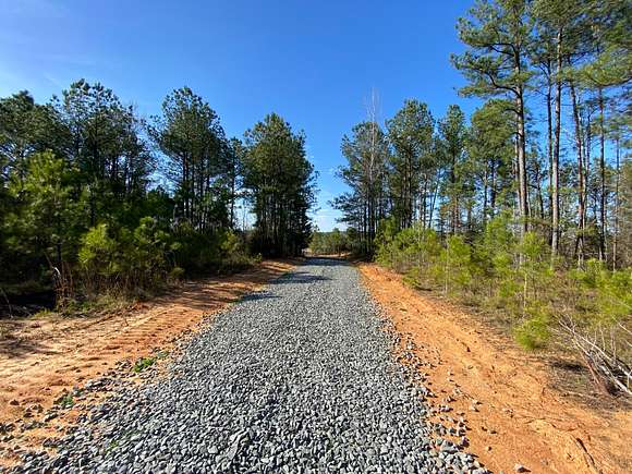 111 Acres of Recreational Land for Sale in Bankston, Alabama