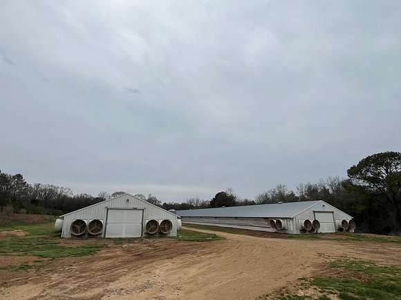 20 Acres of Agricultural Land for Sale in Andalusia, Alabama