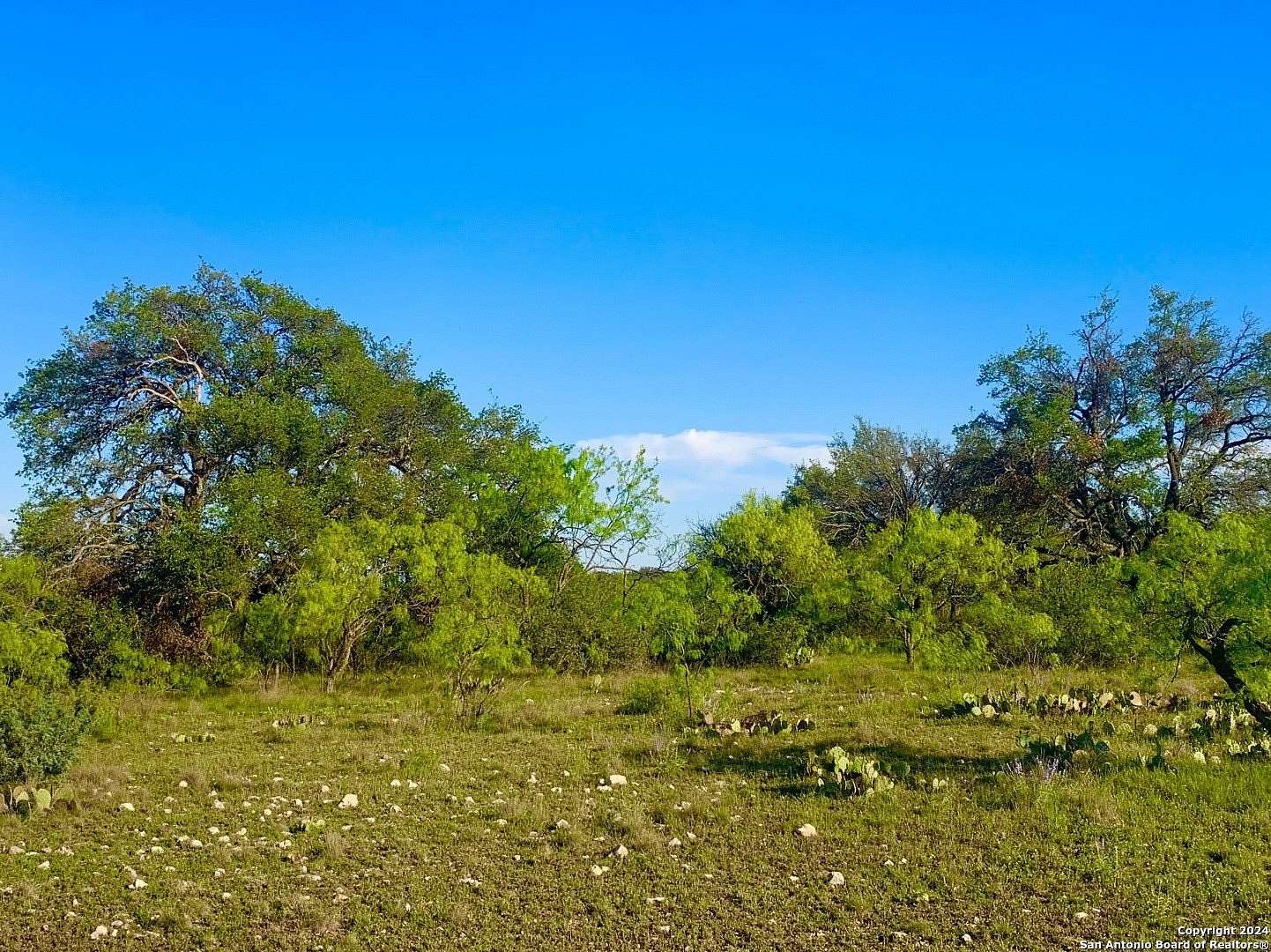 133 Acres of Land for Sale in Schertz, Texas