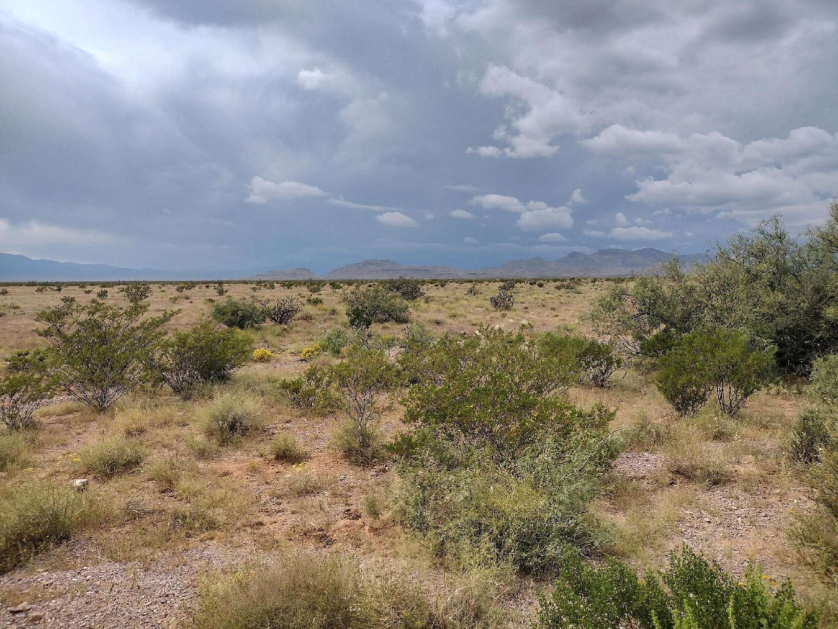 163 Acres of Land for Sale in San Antonio, New Mexico