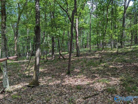 40 Acres of Recreational Land for Sale in Brownsboro, Alabama
