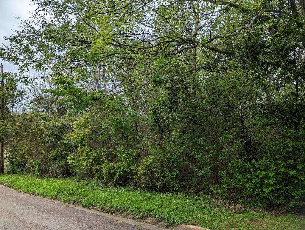 0.3 Acres of Land for Sale in Nacogdoches, Texas