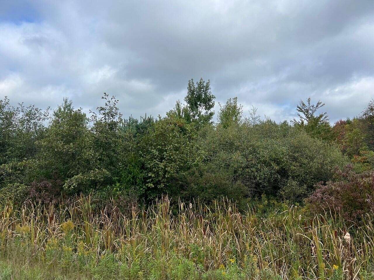 6 Acres of Land for Sale in Muskegon, Michigan