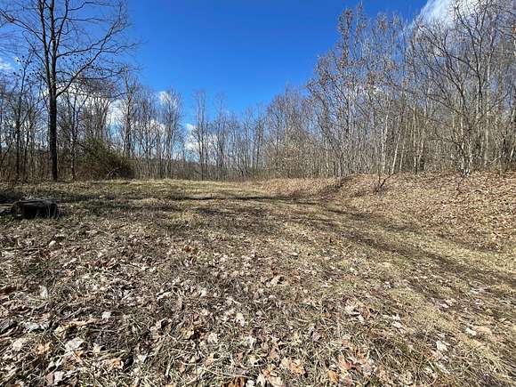 51.5 Acres of Land for Sale in Nallen, West Virginia