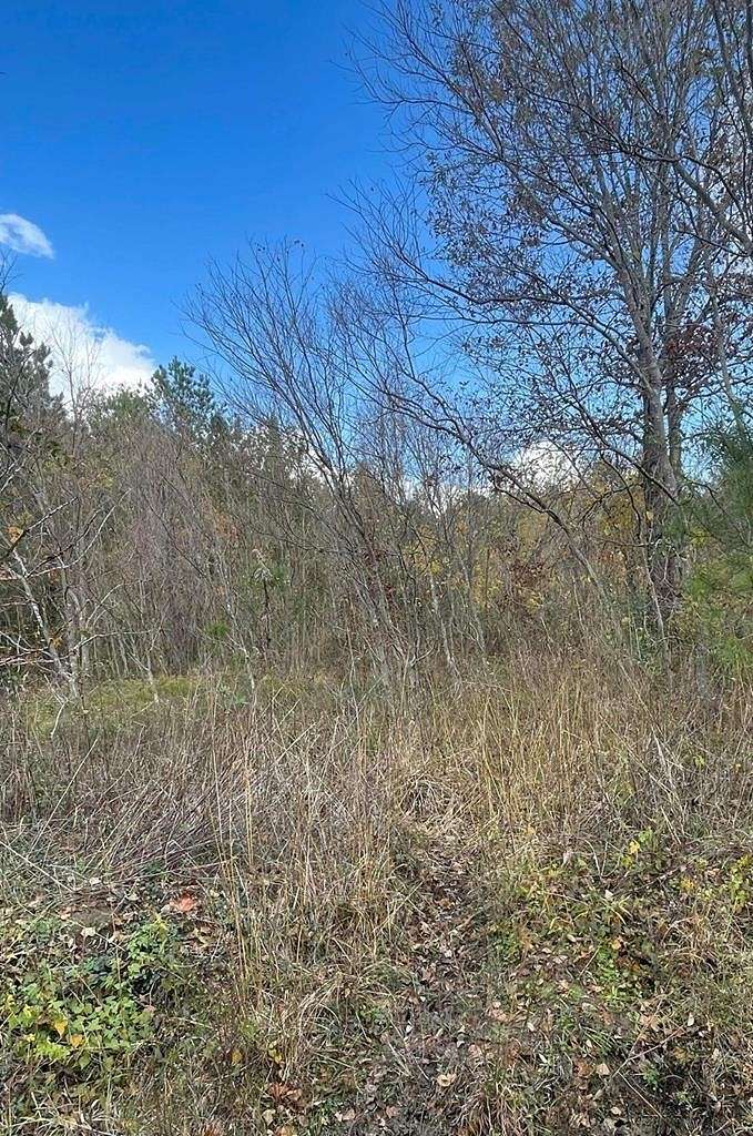 0.53 Acres of Residential Land for Sale in Lufkin, Texas
