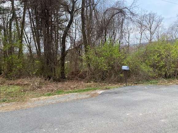 0.46 Acres of Residential Land for Sale in Draper, Virginia