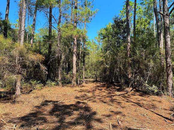 10.7 Acres of Land for Sale in DeFuniak Springs, Florida