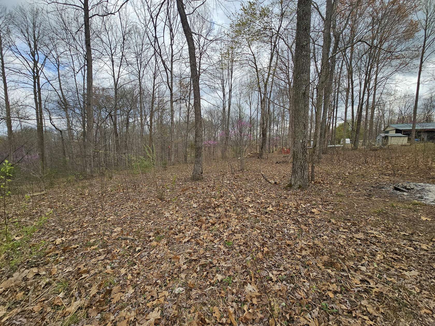 3.3 Acres of Land for Sale in Waynesburg, Kentucky