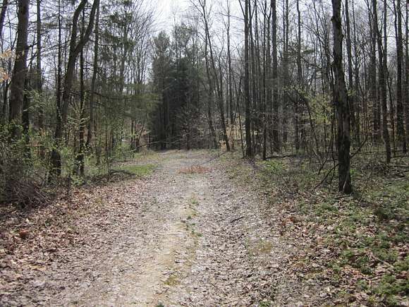 90 Acres of Recreational Land for Sale in Freedom, Indiana
