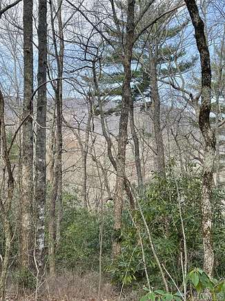 0.7 Acres of Land for Sale in Lake Toxaway, North Carolina
