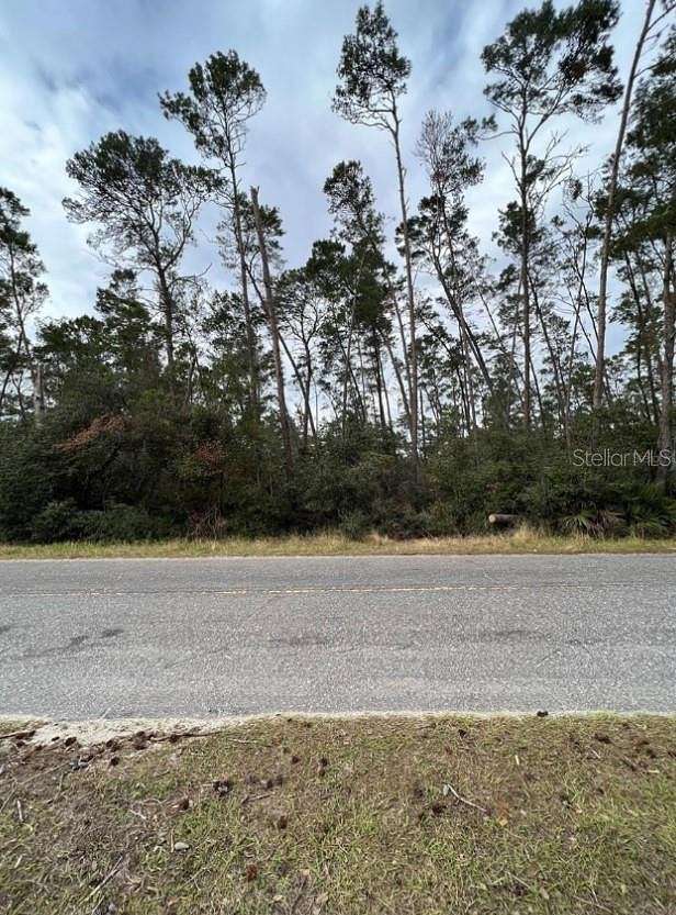 18.1 Acres of Land for Sale in Paisley, Florida