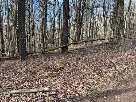 5 Acres of Residential Land for Sale in Gap Mills, West Virginia