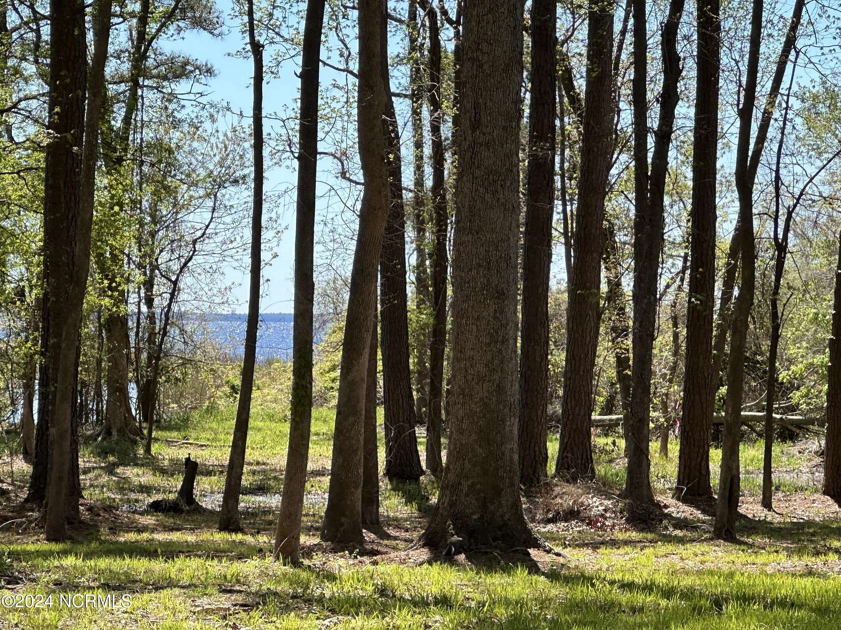 1.78 Acres of Residential Land for Sale in Bath, North Carolina