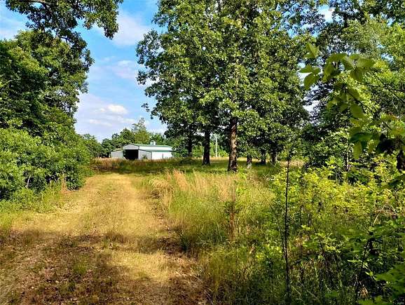 20 Acres of Land for Sale in Glen Allen, Missouri