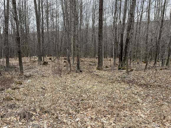 5 Acres of Residential Land for Sale in Woodstock Town, Maine