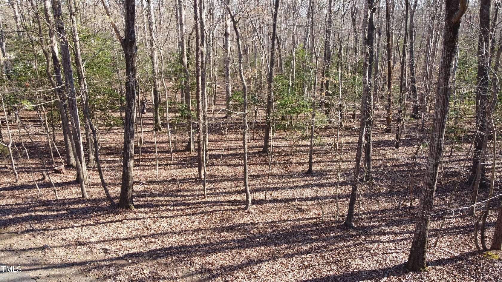 1.1 Acres of Land for Auction in Clarksville, Virginia