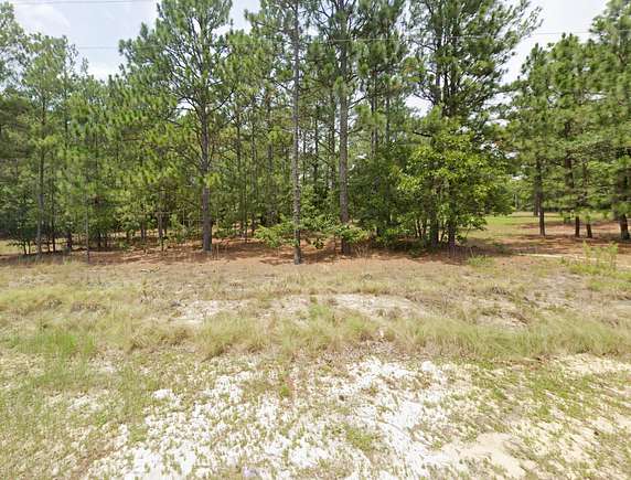 1 Acre of Residential Land for Sale in West End, North Carolina
